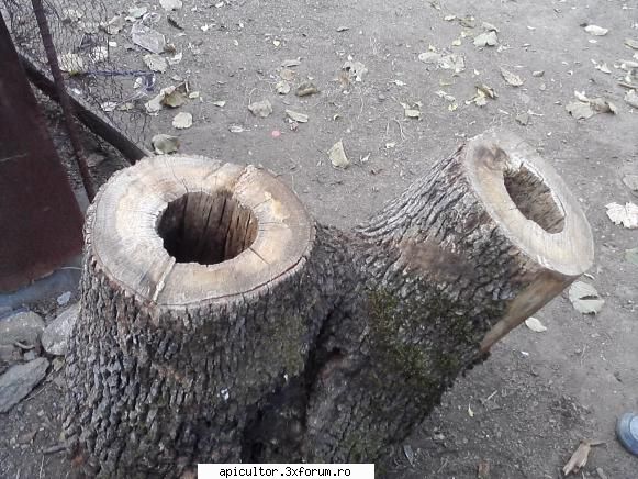 poze buduroaie - in buduroiul asta pot sa bag doua roiurii unul - POZE