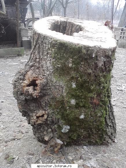 o poza si din profil  inaltimea lui ie de 70cm si grosime de 30 cm  :hi: 
sper sa va placa poza  cu