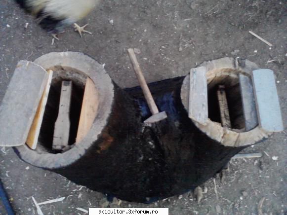 poze buduroaie - castoruu_castoruu - POZE