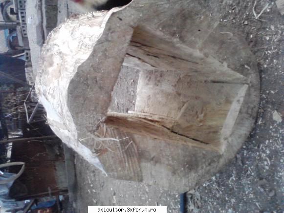 poze buduroaie - castoruu_castoruu - POZE