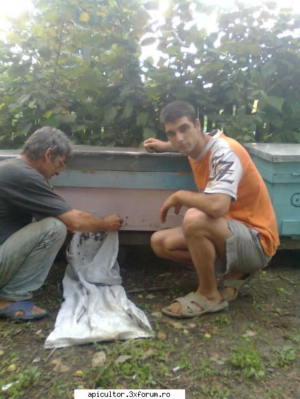 poze buduroaie - castoruu_castoruu - POZE