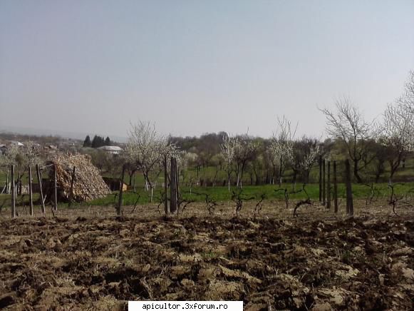 poze buduroaie - salutare dinou dragi prietenii si citeva poze cu - POZE
