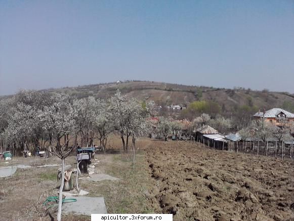 poze buduroaie - castoruu_castoruu - POZE