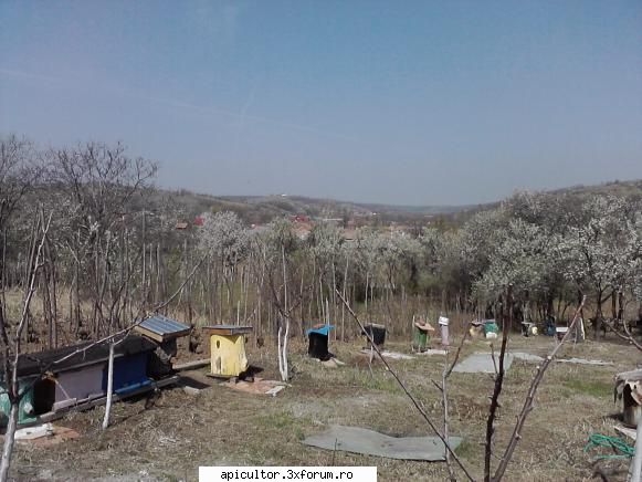 poze buduroaie - castoruu_castoruu - POZE