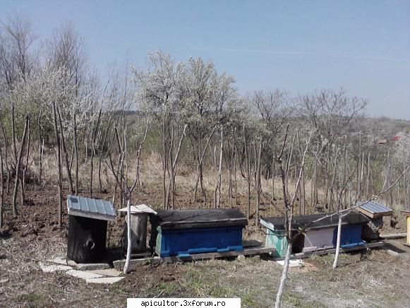 poze buduroaie - castoruu_castoruu - POZE