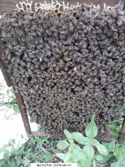 poze buduroaie - din buduroiul asta am facur 5 roii - POZE