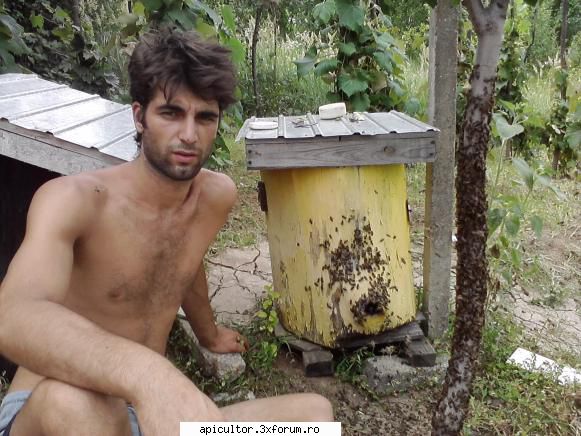 poze buduroaie - castoruu_castoruu - POZE