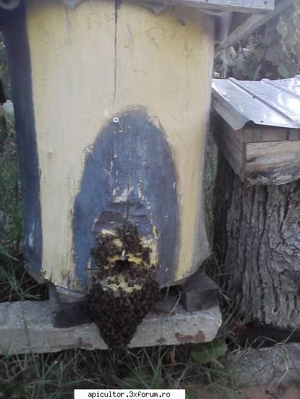 poze buduroaie - sper sa va placa cu respect - POZE