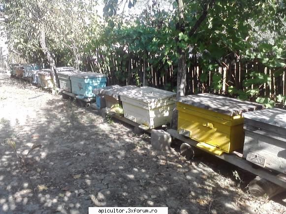 poze buduroaie - castoruu_castoruu - POZE
