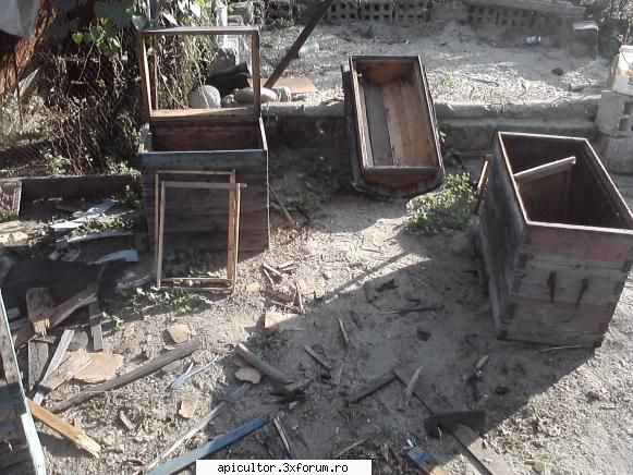 poze buduroaie - castoruu_castoruu - POZE