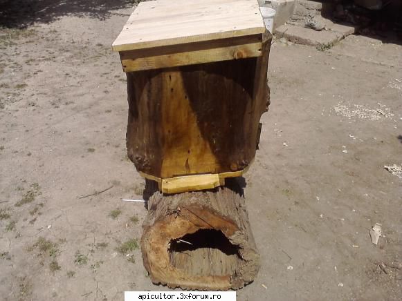 poze buduroaie - castoruu_castoruu - POZE