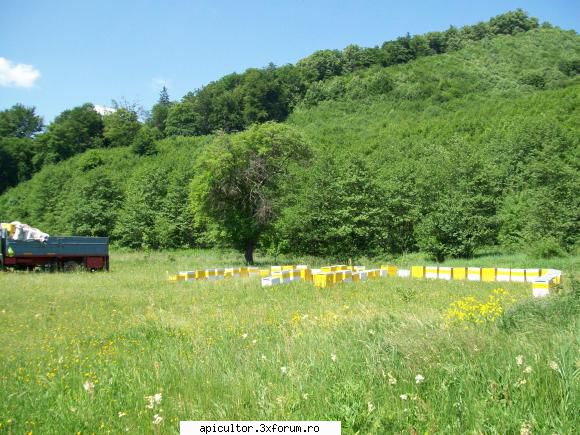 poze crisbee - am ajuns si la munte la cules de intretinere in - POZE