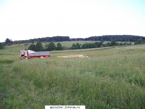 poze crisbee - si alta locatie tot undeva la munte - POZE
