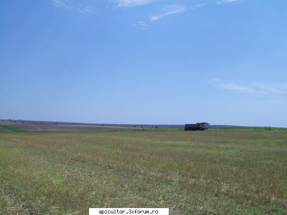 poze crisbee - floare lll si sfarsitul pastoralului 2011 pentru - POZE