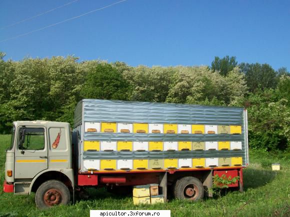 poze crisbee - a trecut rapita si ne-am pus speranta in salcam - POZE