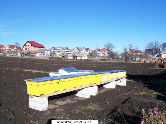 poze crisbee - cam asta a iesit - POZE