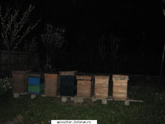 poze eu - Prima linie la rapita - POZE