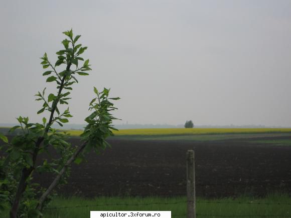 poze eu - Rapita la 150m de stupi - POZE