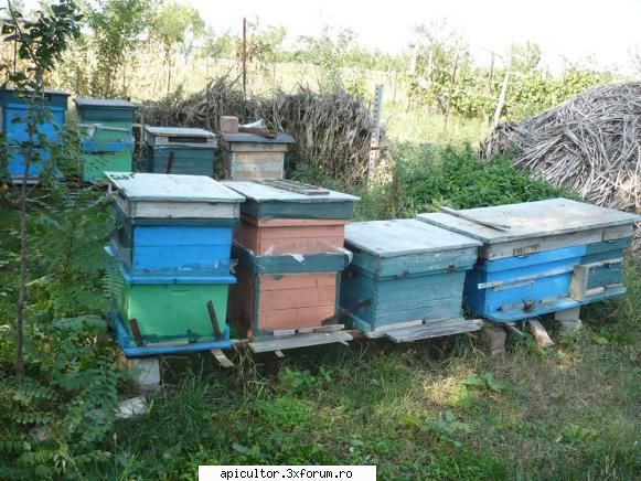 poze eu - amintiri si vechituri - POZE