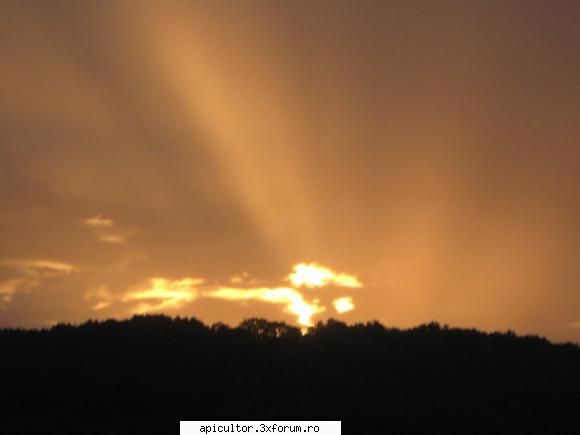 poze eu - eusebiu - POZE