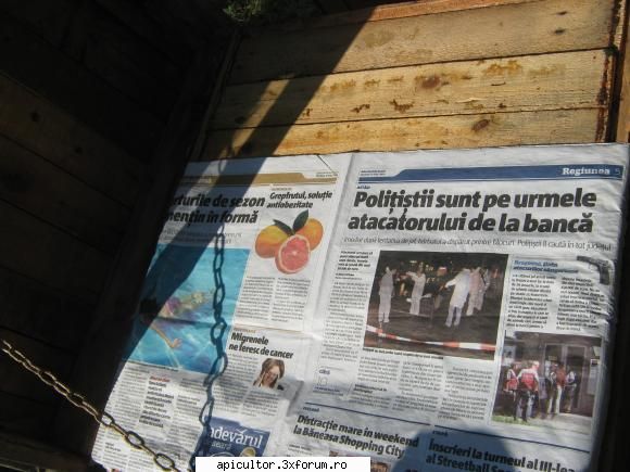 poze eu - fetele citesc ziarul - POZE