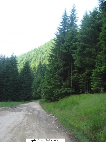 poze eu - eusebiu - POZE