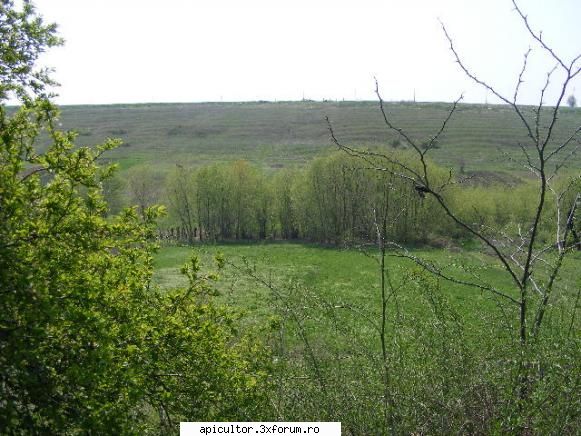 poze fotoklipa - fotoklipa - POZE