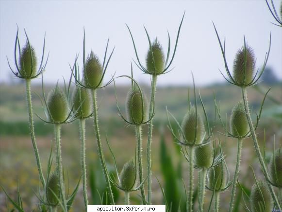 poze fotoklipa - fotoklipa - POZE