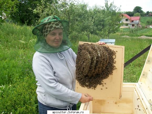 poze rita - asa am inceput eu apicultura - POZE