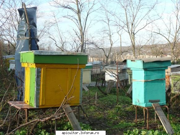 poze teinegru64 - teinegru64 - POZE