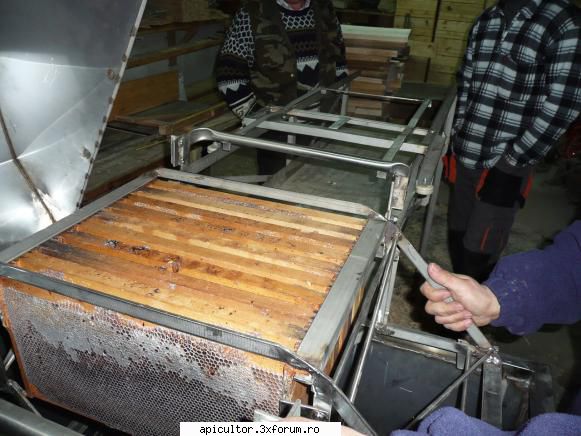 poze teinegru64 - Altii chiar au cu ca se lauda in iarna asta - POZE