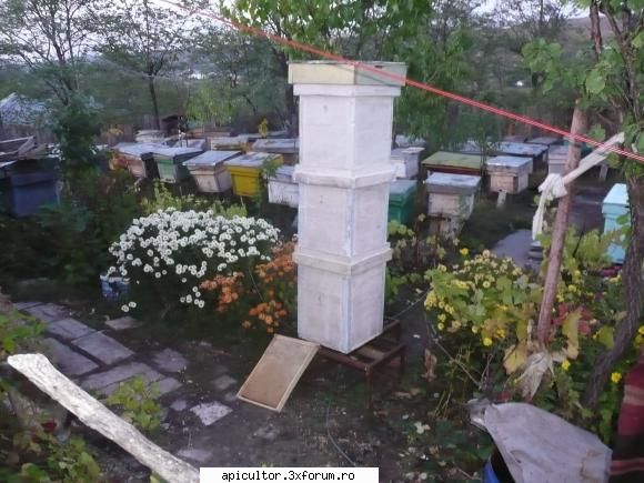 poze teinegru64 - Si jucaria mea pe 2010 - POZE