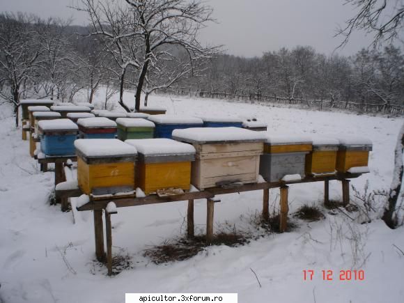 pozele lui freecristian - Azi 17 decembrie '10 - POZE