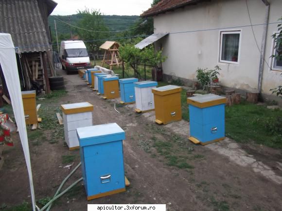 pozele lui freecristian - FreeCristian - POZE