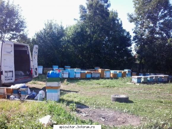 pozele lui freecristian - FreeCristian - POZE