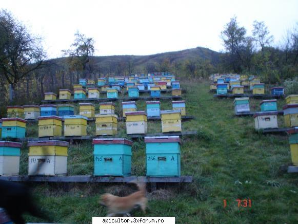 pozele lui freecristian - dupa care a venit ora intalnirii si am plecat - POZE