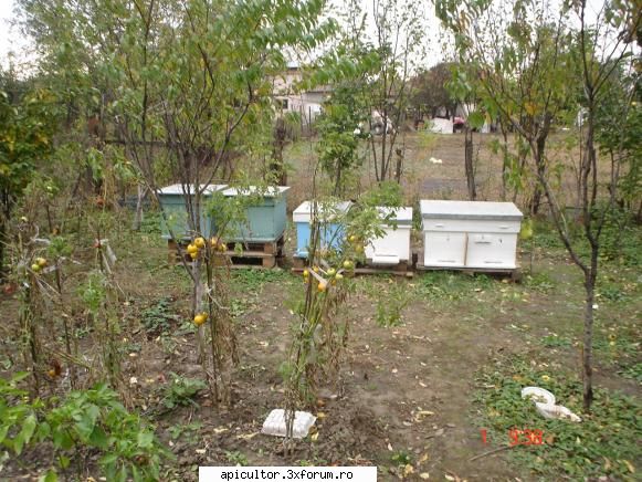 pozele lui freecristian - dupa care, ajunsi inapoi in Buzau am lasat pe - POZE