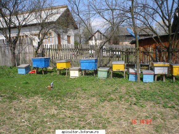 pozele lui freecristian - Azi am mutat familiile in cutiile de la Munguriu - POZE