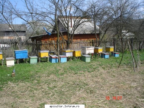 pozele lui freecristian - FreeCristian - POZE
