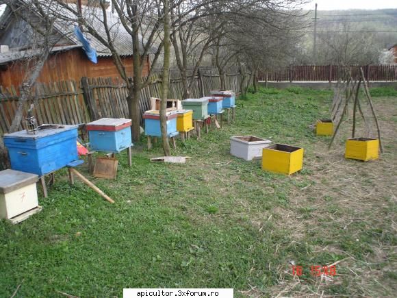 pozele lui freecristian - Aproape de final - POZE