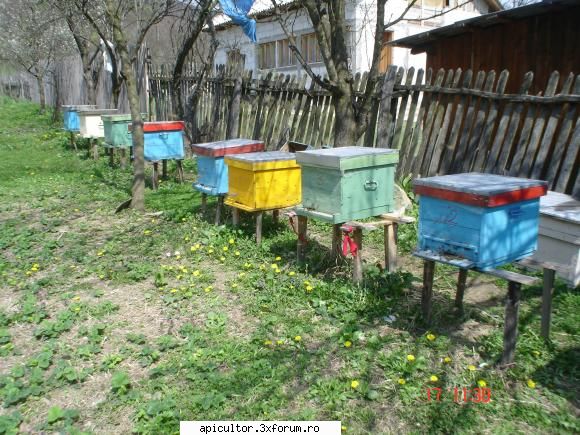 pozele lui freecristian - FreeCristian - POZE
