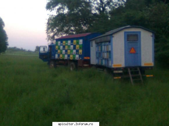 raba pavilion apicol - mutu29 - PAVILIONUL APICOL