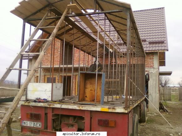 raba pavilion apicol - mutu29 - PAVILIONUL APICOL