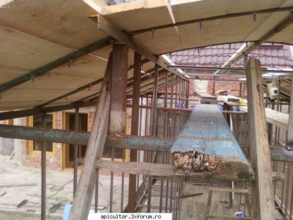 raba pavilion apicol - mutu29 - PAVILIONUL APICOL