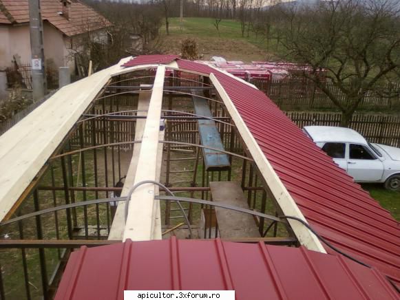 raba pavilion apicol - mutu29 - PAVILIONUL APICOL