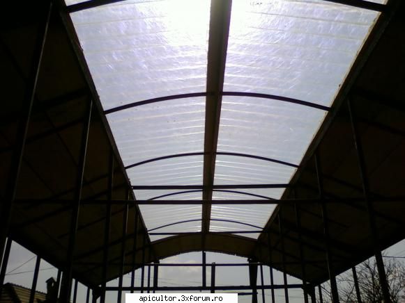 raba pavilion apicol - mutu29 - PAVILIONUL APICOL