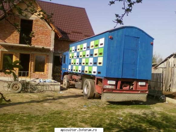 raba pavilion apicol - mutu29 - PAVILIONUL APICOL