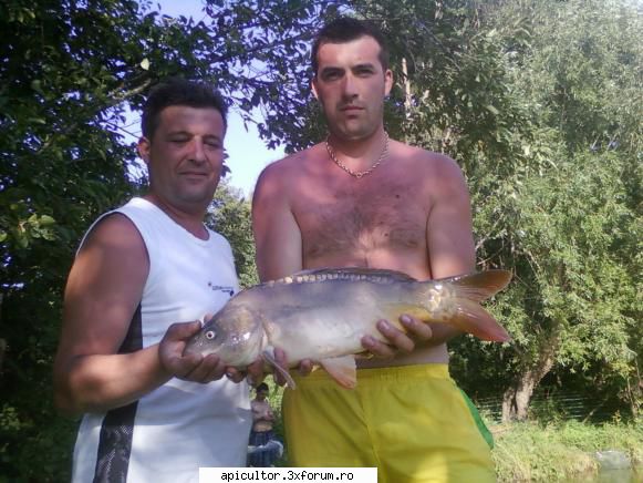 sange de pescar intr-un apicultor - pe langa albine pestele imi mananca toti bani - PASIUNI
