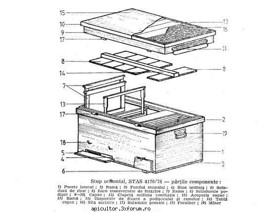 schita orizontal - 20 rame - balanescuadrian - STUPUL ORIZONTAL