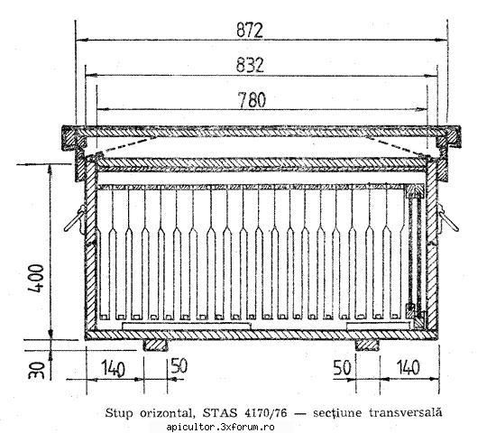 schita orizontal - 20 rame - balanescuadrian - STUPUL ORIZONTAL